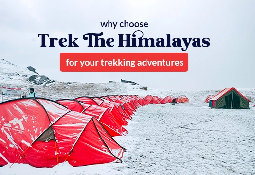 Why Choose Trek The Himalayas for Your Trekking Adventures