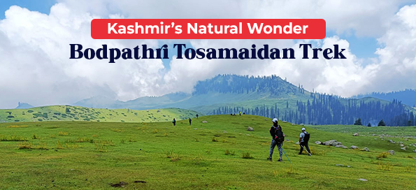 Bodpathri Tosamaidan Trek: Kashmir’s Natural Wonder