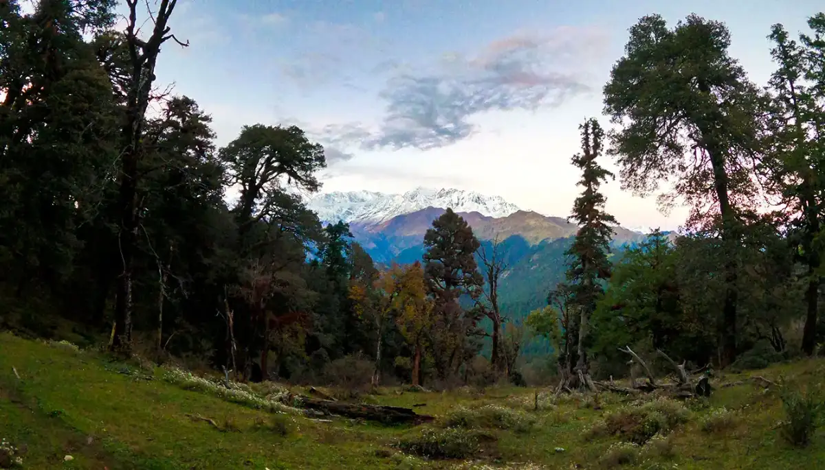 Bagji Bugyal Trek Day 1 Itinerary