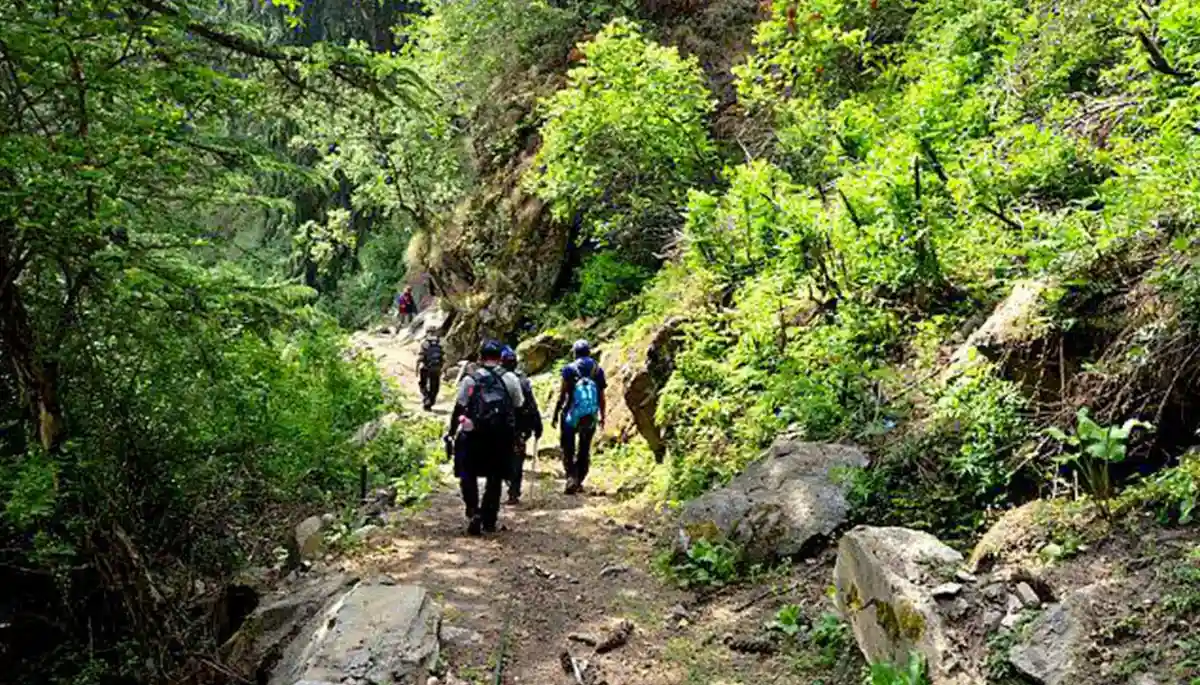 Bagini Glacier & Changbang Base Camp Day 8 Itinerary