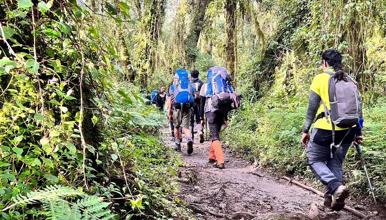 Kilimanjaro Peak Trek Expedition Day 2 Itinerary
