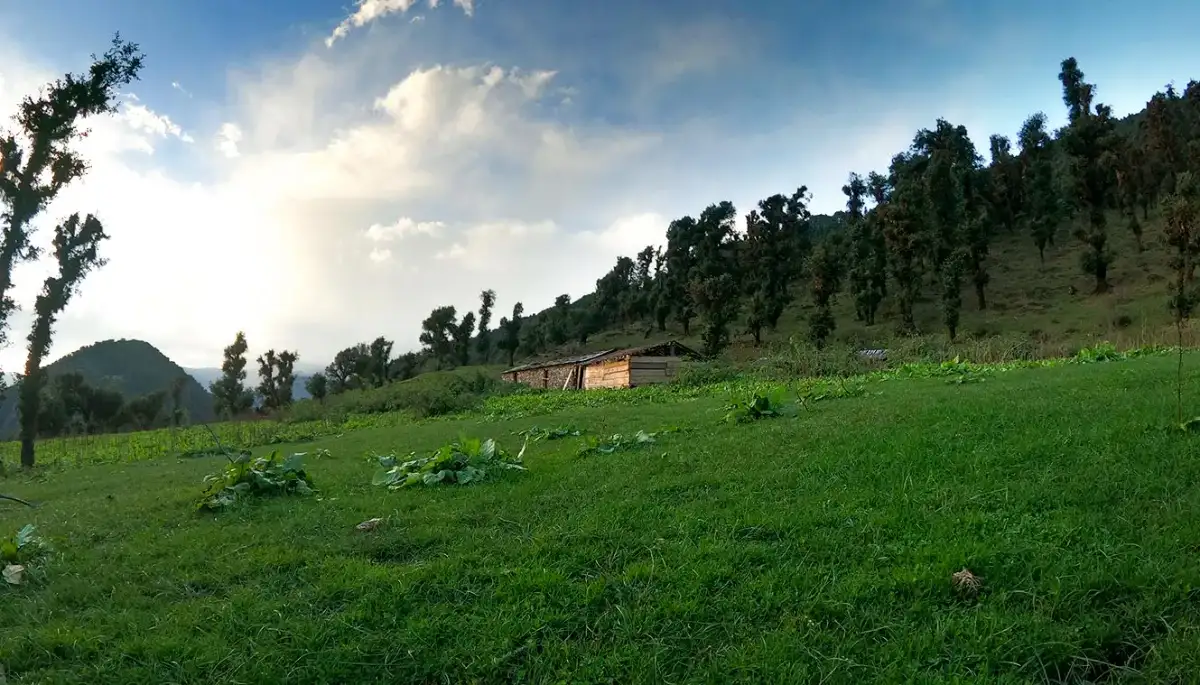 Bagji Bugyal Trek Day 5 Itinerary
