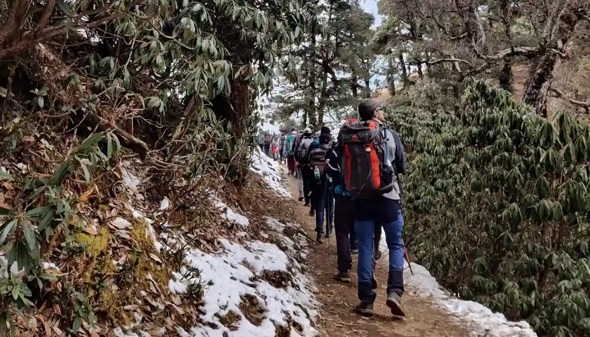 Brahmatal Trek Day 2 Itinerary Brahmatal Trek Day 2 Itinerary