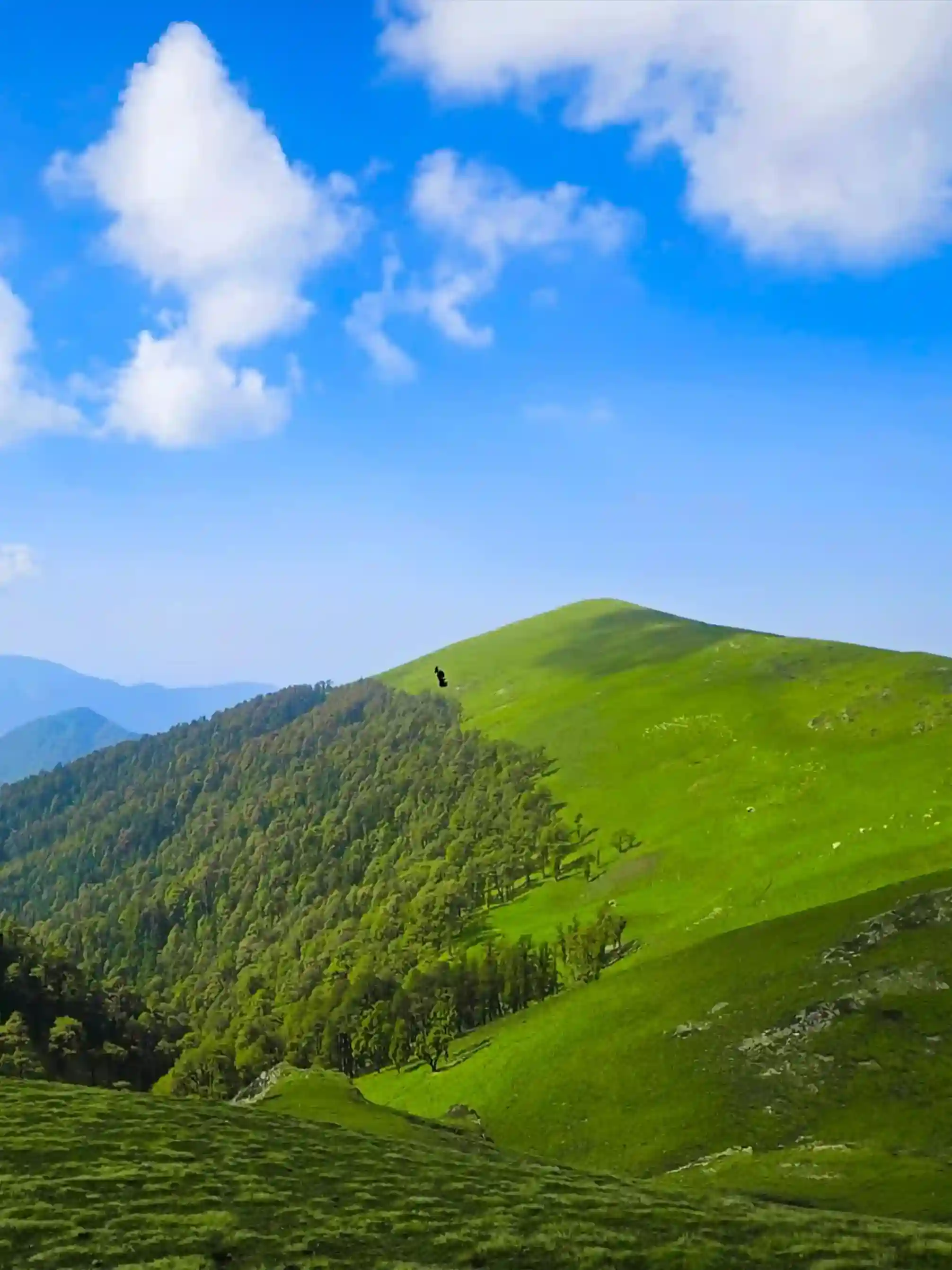 Ali Bedni Bugyal Trek