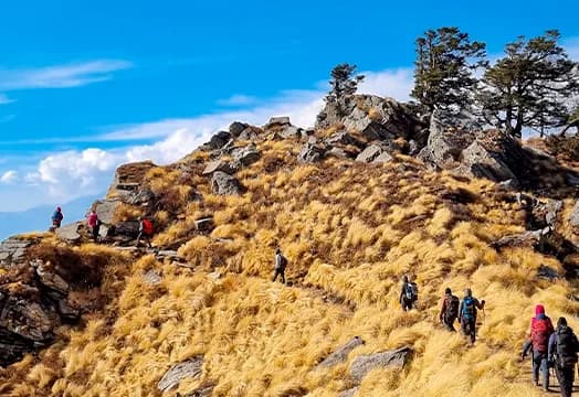 22nd January, 2026 - Weather & Trek Update: New batch of Dayara Bugyal Trek Begins