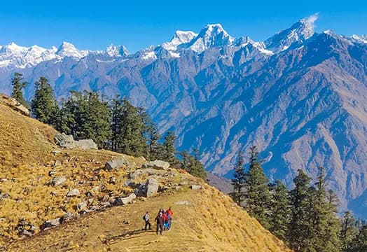 November 18, 2025, Trek Update: Kuari Pass, Chopta, and Sandakphu Trek