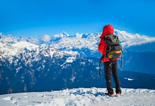 Pro Tips to Defeat the Winter Cold: Essential Guide by Trek Leader