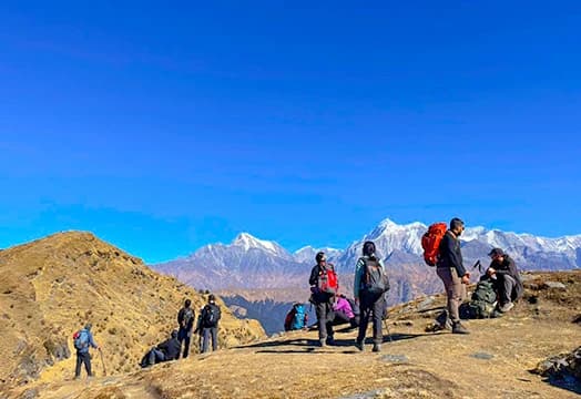 20th January, 2026 - Trek Update: New Batch of Kuari Pass, and Dayara Bugyal Trek Begins