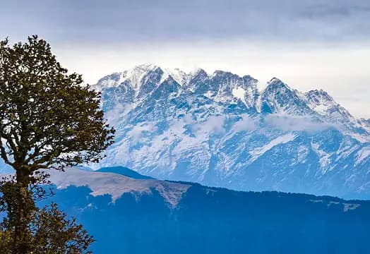 21st January, 2026 - Trek Update: New Batch of Kuari Pass and Kedarkantha Trek Begins