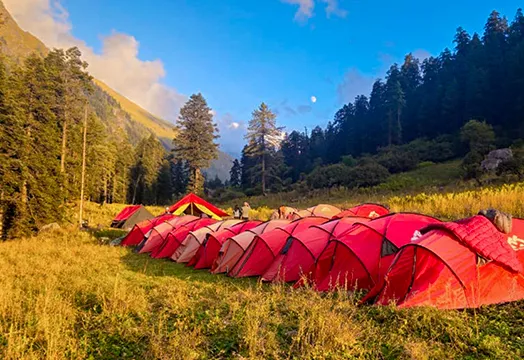 December 19, 2025 - Trek Update: Kedarkantha, Kuari Pass, Brahmatal, and Sandakphu Trek