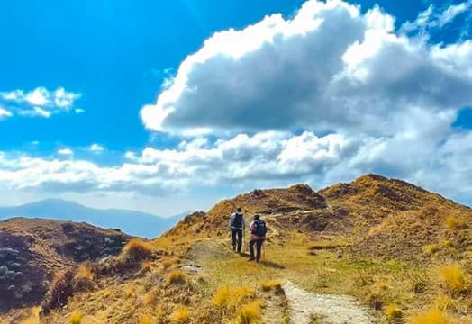 Latest Weather Update for the Treks - November 4, 2025