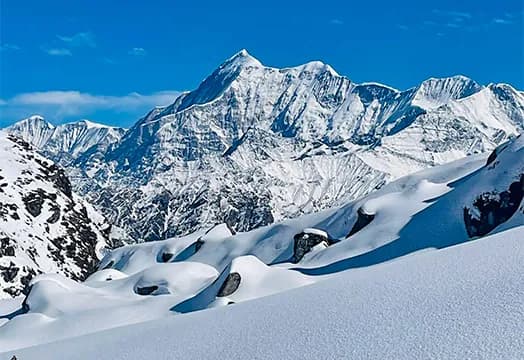 24th January, 2026 - Trek Update: New Batches Begins of Dayara, Kedarkantha & Kuari Pass