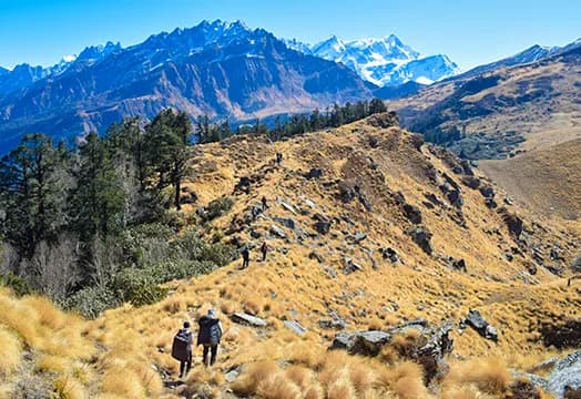 November 13, 2025 Trek Update: Kedarkantha, Ali Bedni, Sandakphu, Everest Base Camp