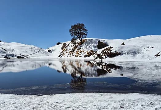 11th Feb 2026, Trek Update: All the treks of Uttarakhand and North - East are running as per schedule