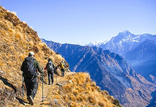 December 02, 2025, Trek Update: Kedarkantha, Kuari Pass, Brahmatal and Sandakphu Trek