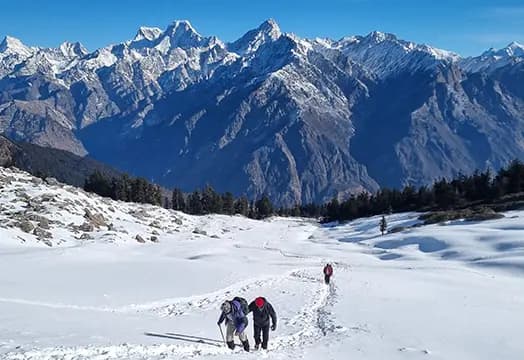 7th Feb 2026, Trek Update—New batches of Nag Tibba, Gulabi Kantha, and Brahmatal begin