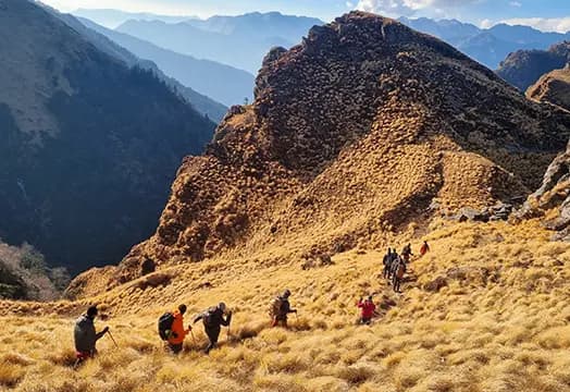 December 08, 2025 - Trek Update: Kedarkantha, Kuari Pass, Dayara and Brahmatal Trek