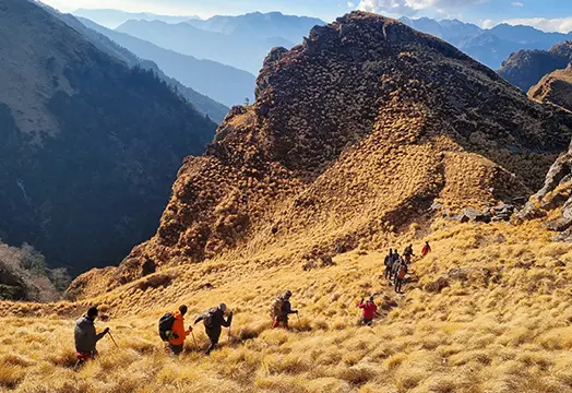 December 08, 2025 - Trek Update: Kedarkantha, Kuari Pass, Dayara and Brahmatal Trek