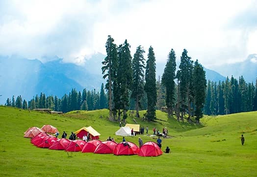 Why You Should Choose Trek the Himalayas Over Other Trekking Companies