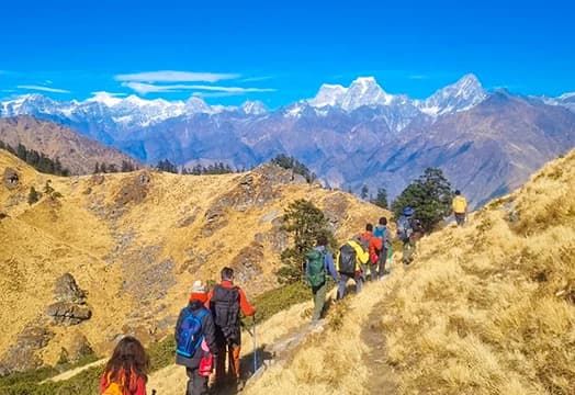 December 04, 2025 - Trek Update: Chopta, Kuari Pass, Kedarkantha and Sandakphu Trek