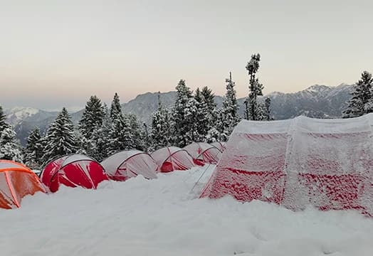 23rd January, 2026 - Trek Update: Fresh Snowfall Blankets a Few Treks in Uttarakhand