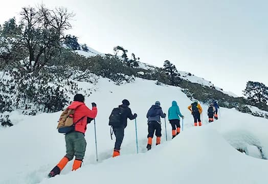 13th Feb 2026 Trek Update: the Sky of All the Trekking Regions Has Turned Cloudy
