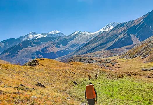 Latest Weather Update for the Treks - October 29, 2025