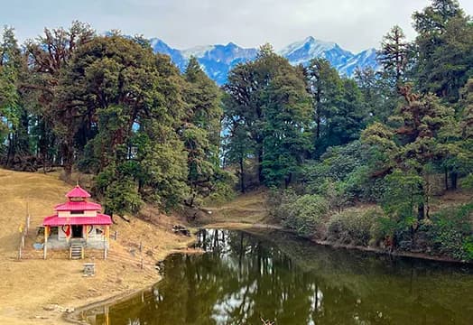 31st December Weather & Trek Update: Batches of Chopta, Dayara, and Sandakphu are on Schedule