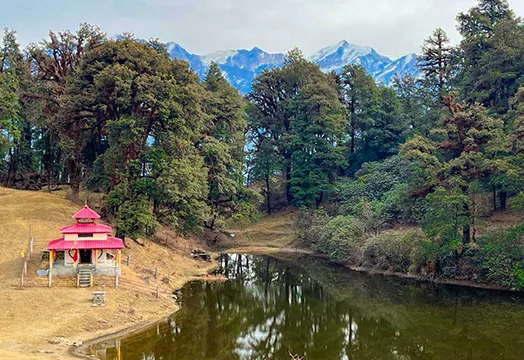 31st December Weather & Trek Update: Batches of Chopta, Dayara, and Sandakphu are on Schedule