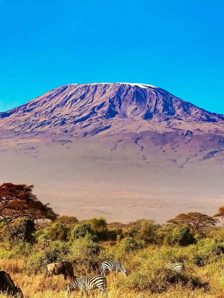 Mount Kilimanjaro Trek