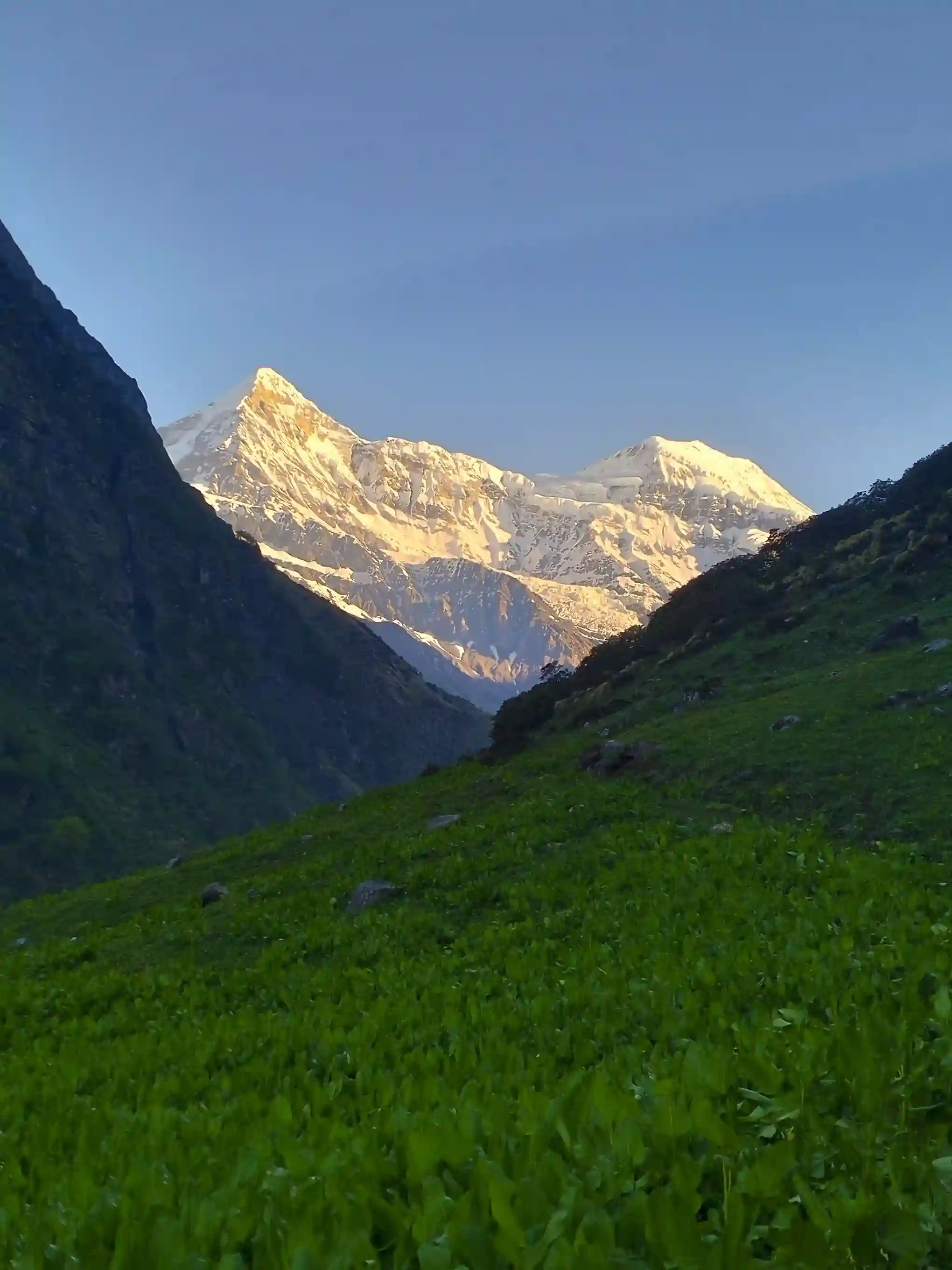 Pindari Glacier Trek