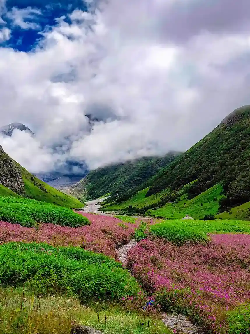 Valley of Flowers Trek