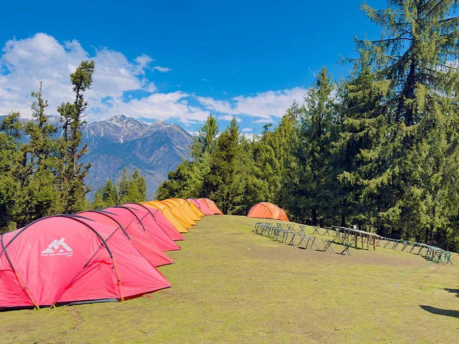 Friendly environment