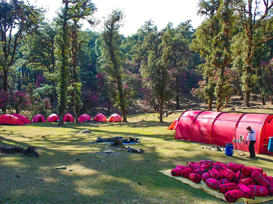 Proper equipment for kids