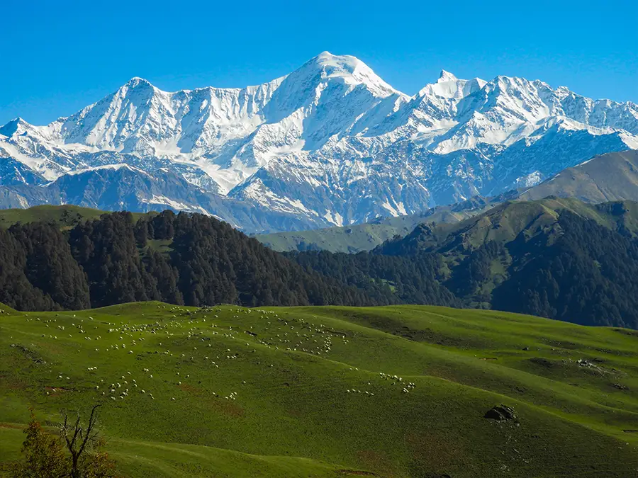 DayaraGalleryImages image 1