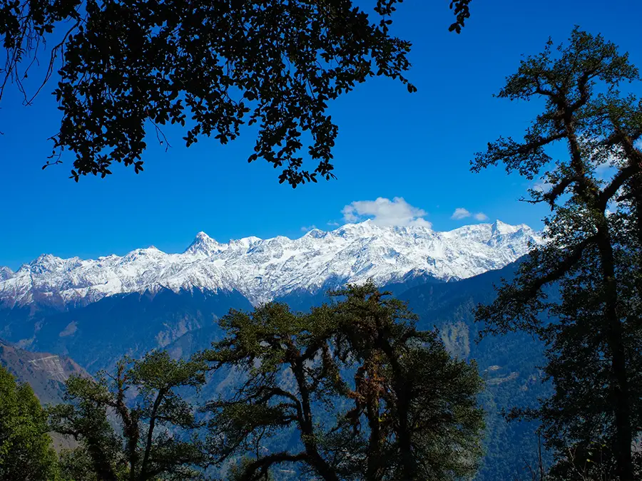 Dayara Bugyal Trek Summer Camp