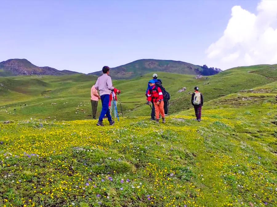 Dayara Bugyal Trek Summer Camp