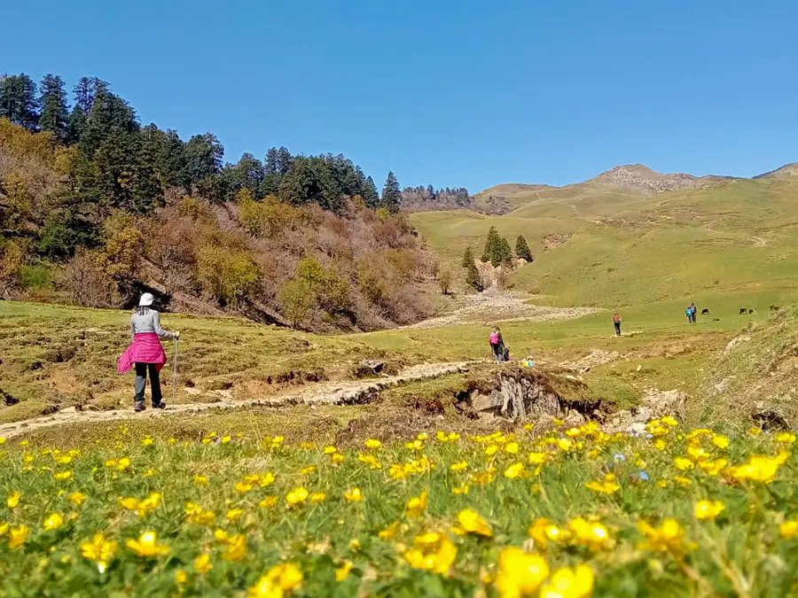 Dayara Bugyal Trek Summer Camp