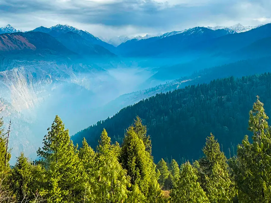 Kedarkantha Trek Summer Camp