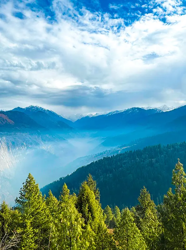 Kedarkantha Trek Summer Camp