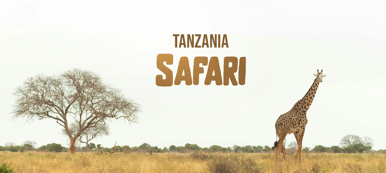tanzania-safari