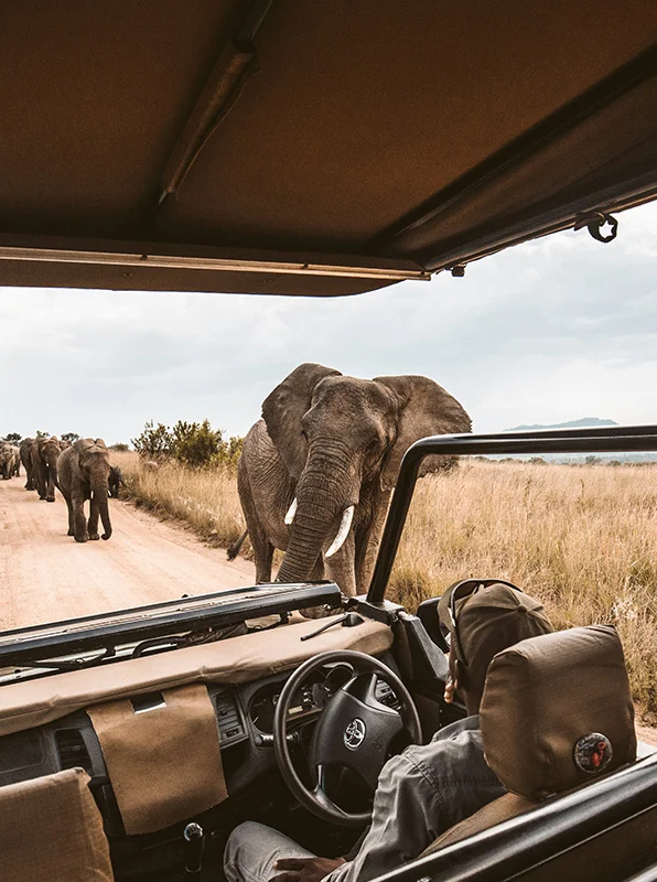 kilimanjaro Safari