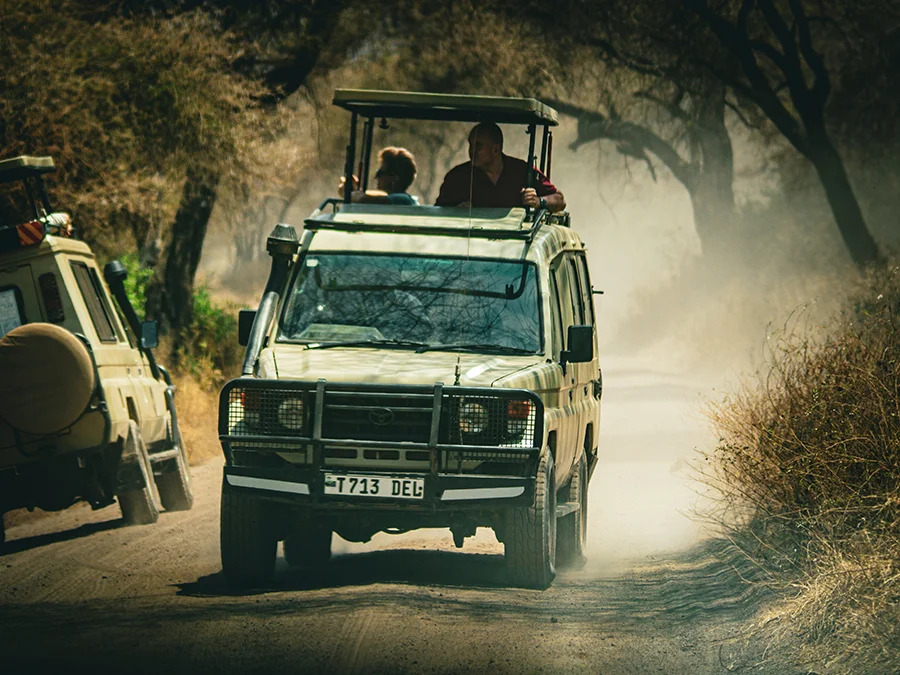 kilimanjaro Safari