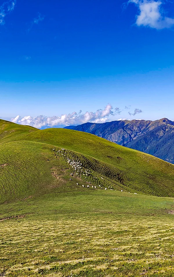 Ali Bedni Bugyal Trek