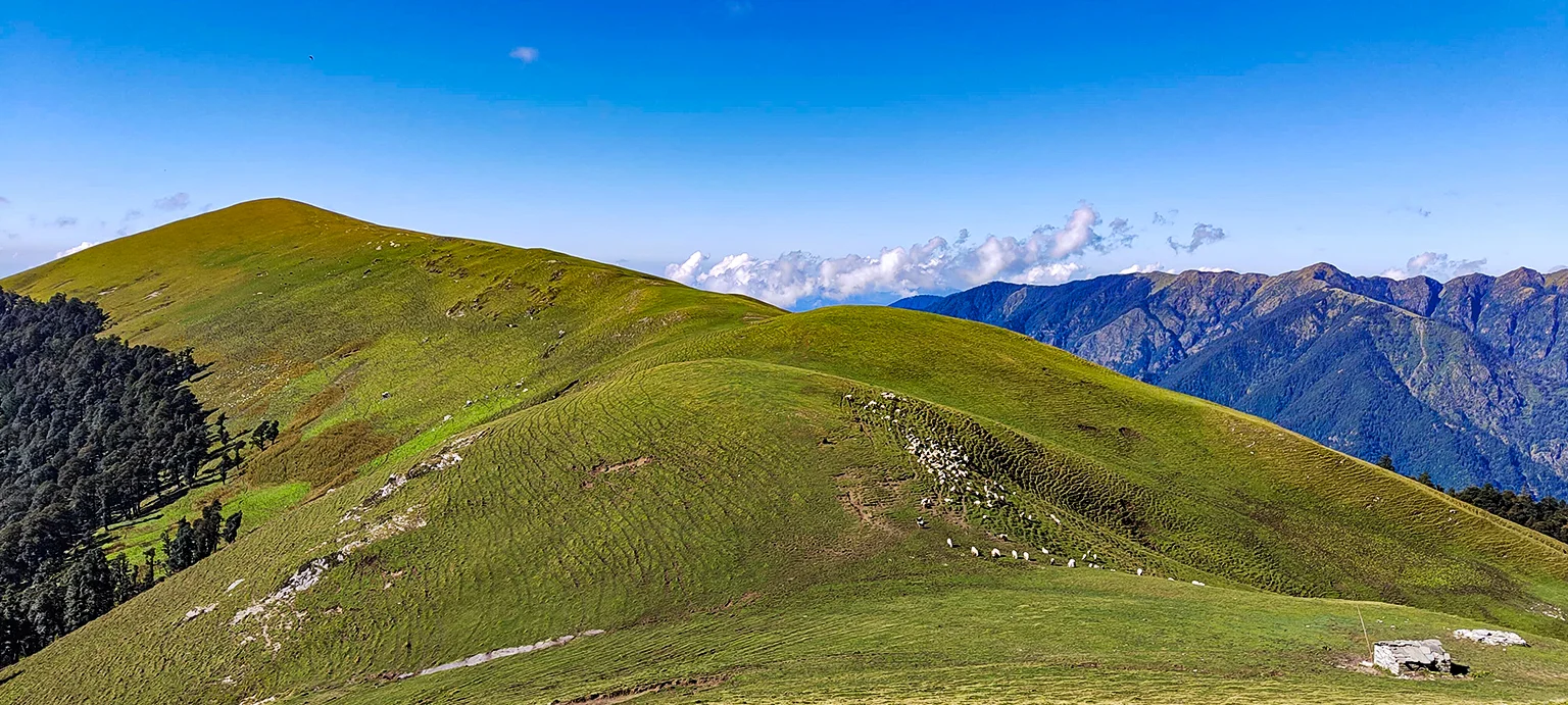 Ali Bedni Bugyal Trek