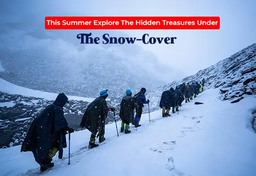 10 Best Summer Treks in India 2025 - Trek The Himalayas 