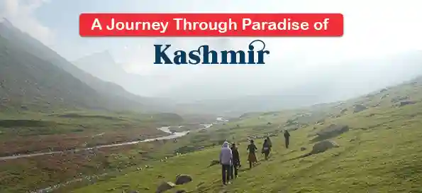 A Journey Through Paradise of Kashmir Treks