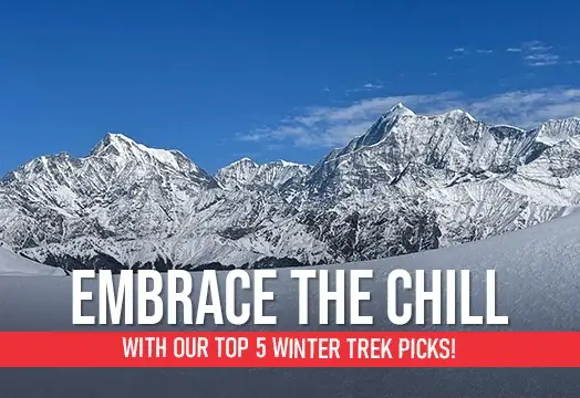 Embrace The Chill with our Top 5 Winter Trek Picks!