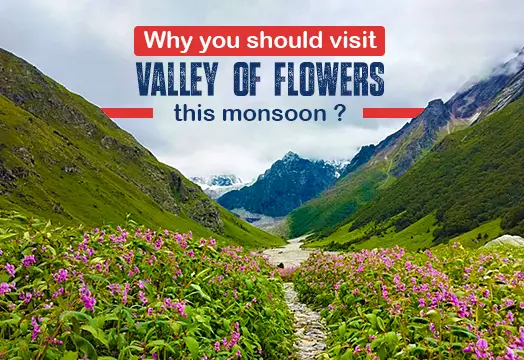 Why you Should Visit Valley of Flowers This Monsoon?