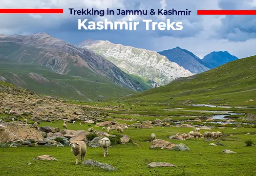 Trekking in Jammu & Kashmir, Kashmir Treks